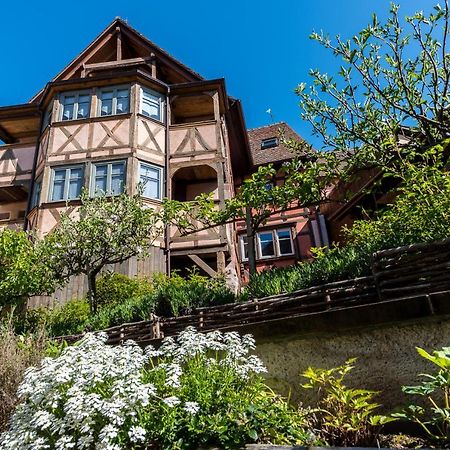 Remparts De Riquewihr - Le Petit Loup Apartment Екстериор снимка